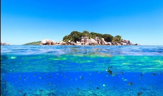 秋季浪漫约会