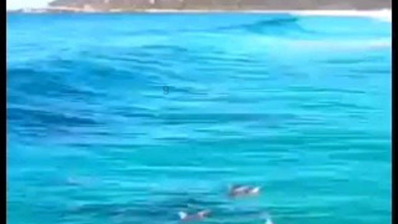 冲鼻的乡愁